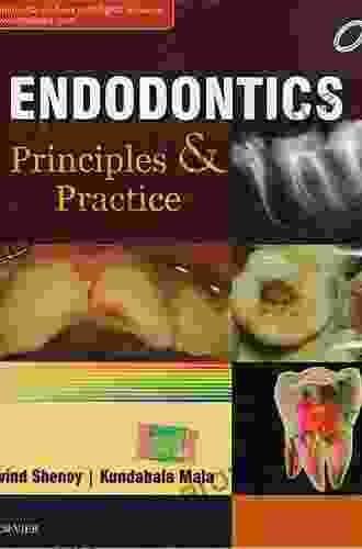 Endodontics E Book: Principles and Practice