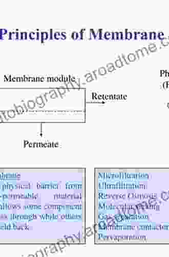 Membrane Separation Principles And Applications: From Material Selection To Mechanisms And Industrial Uses (Handbooks In Separation Science)