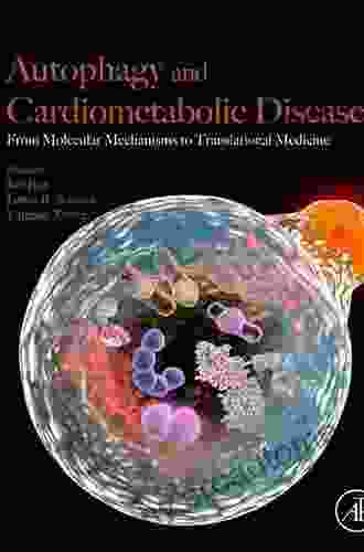 Autophagy And Cardiometabolic Diseases: From Molecular Mechanisms To Translational Medicine