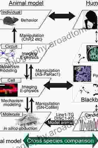 Plant Biomechanics: From Structure to Function at Multiple Scales