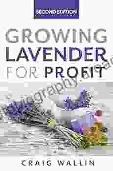 Growing Lavender For Profit Craig Wallin