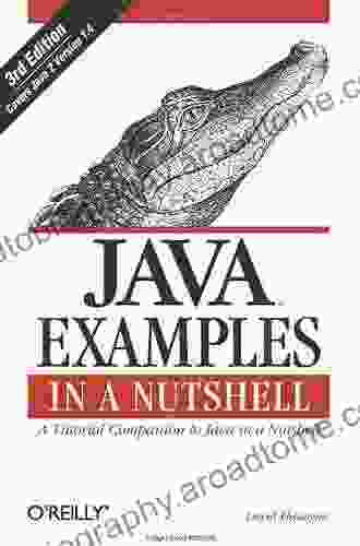 Java Examples In A Nutshell: A Tutorial Companion To Java In A Nutshell (In A Nutshell (O Reilly))