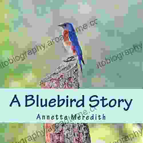 A Bluebird Story Annette Meredith