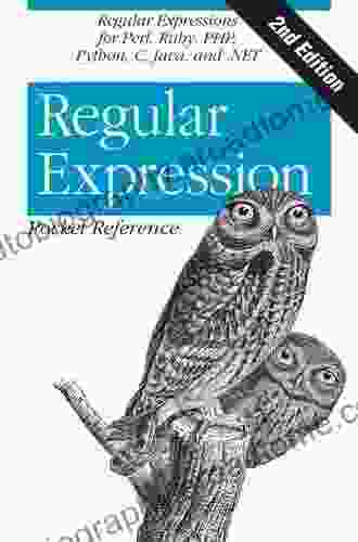 Regular Expression Pocket Reference