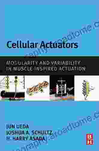 Cellular Actuators: Modularity And Variability In Muscle Inspired Actuation