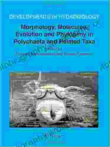 Morphology Molecules Evolution and Phylogeny in Polychaeta and Related Taxa (Developments in Hydrobiology 179)