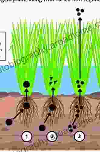 Phytoremediation of Emerging Contaminants in Wetlands