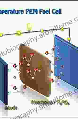 Polymer Electrolyte Fuel Cell Degradation