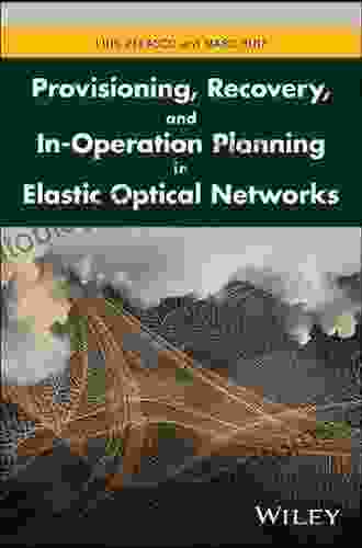 Provisioning Recovery And In Operation Planning In Elastic Optical Networks