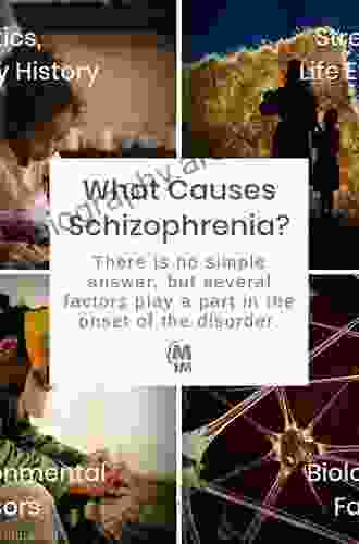 Search For The Causes Of Schizophrenia: Volume III