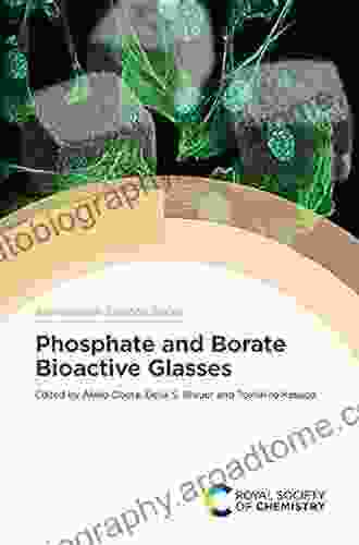 Phosphate And Borate Bioactive Glasses (ISSN)