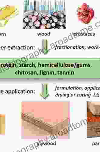 Green Adhesives: Preparation Properties And Applications