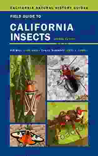 Field Guide To California Insects: Second Edition (California Natural History Guides 111)