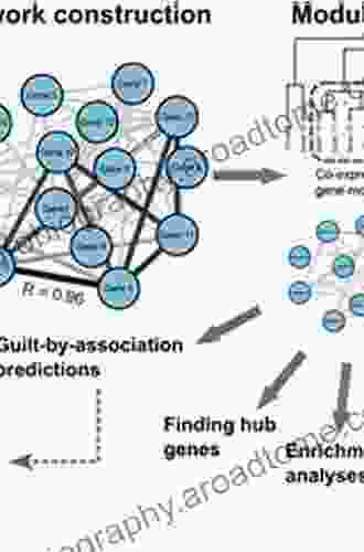 Neurobiology Of Epilepsy: From Genes To Networks (ISSN 226)