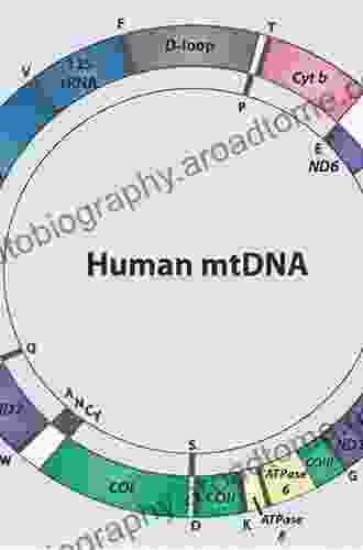 The Human Mitochondrial Genome: From Basic Biology to Disease