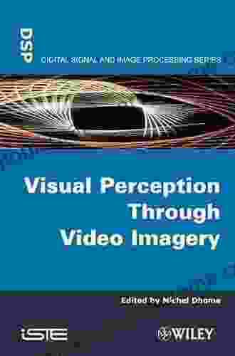 Visual Perception Through Video Imagery (Digital Signal Processing)